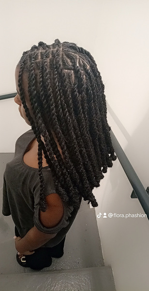 salon de coiffure afro tresse tresses box braids crochet braids vanilles tissages paris 75 77 78 91 92 93 94 95 ZECNMZCC