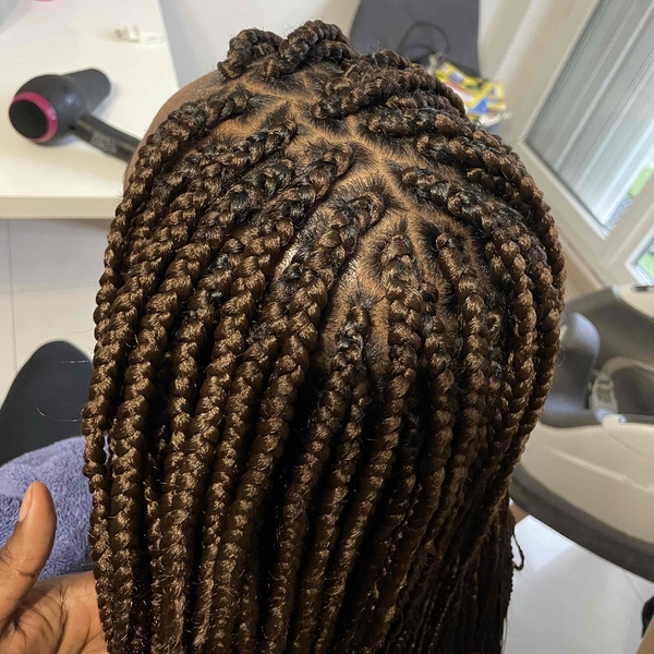 salon de coiffure afro tresse tresses box braids crochet braids vanilles tissages paris 75 77 78 91 92 93 94 95 HDGBMIKY