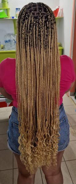 salon de coiffure afro tresse tresses box braids crochet braids vanilles tissages paris 75 77 78 91 92 93 94 95 PRSIVGPO