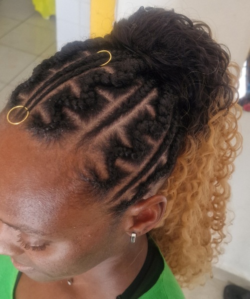salon de coiffure afro tresse tresses box braids crochet braids vanilles tissages paris 75 77 78 91 92 93 94 95 TXFOFTXJ