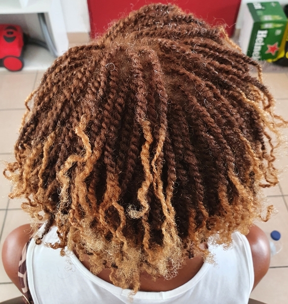 salon de coiffure afro tresse tresses box braids crochet braids vanilles tissages paris 75 77 78 91 92 93 94 95 RMSTMFBO
