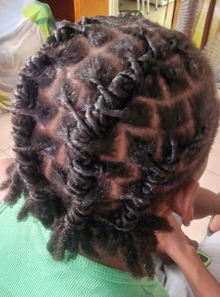 salon de coiffure afro tresse tresses box braids crochet braids vanilles tissages paris 75 77 78 91 92 93 94 95 PSHLNCZW