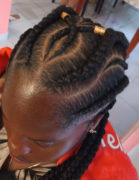 salon de coiffure afro tresse tresses box braids crochet braids vanilles tissages paris 75 77 78 91 92 93 94 95 RYZIAXJR