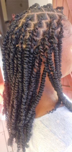 salon de coiffure afro tresse tresses box braids crochet braids vanilles tissages paris 75 77 78 91 92 93 94 95 GTTKXEHT