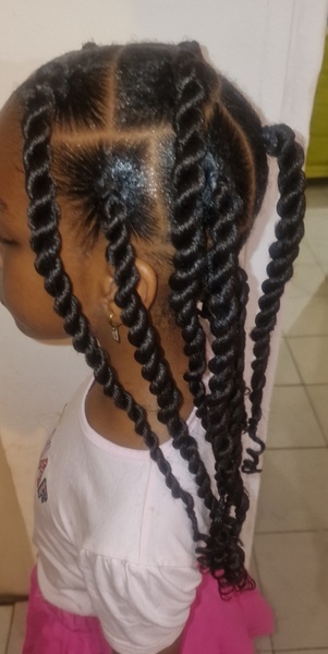 salon de coiffure afro tresse tresses box braids crochet braids vanilles tissages paris 75 77 78 91 92 93 94 95 PSFVHPAD