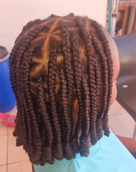 salon de coiffure afro tresse tresses box braids crochet braids vanilles tissages paris 75 77 78 91 92 93 94 95 HDGOAQAJ