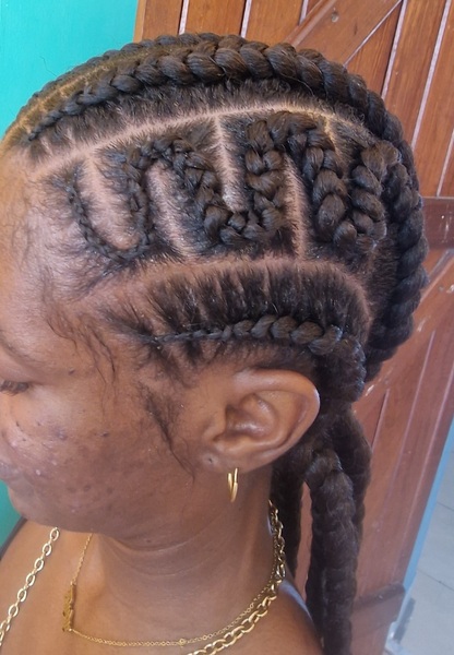 salon de coiffure afro tresse tresses box braids crochet braids vanilles tissages paris 75 77 78 91 92 93 94 95 OBNQIEUI