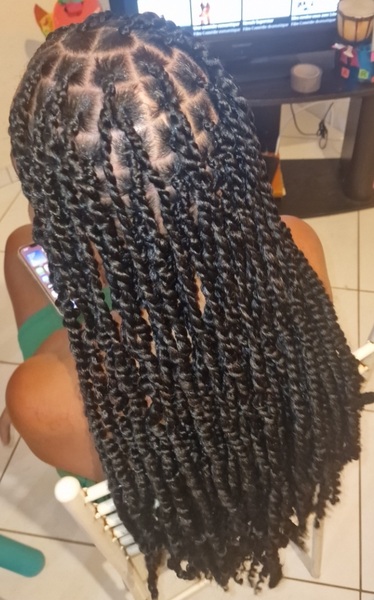 salon de coiffure afro tresse tresses box braids crochet braids vanilles tissages paris 75 77 78 91 92 93 94 95 TRZSJZES