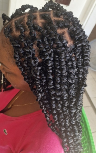 salon de coiffure afro tresse tresses box braids crochet braids vanilles tissages paris 75 77 78 91 92 93 94 95 FZOUWOHZ