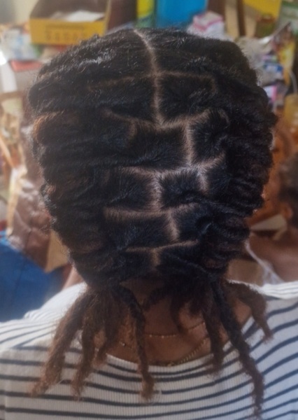 salon de coiffure afro tresse tresses box braids crochet braids vanilles tissages paris 75 77 78 91 92 93 94 95 CXUXBWIO