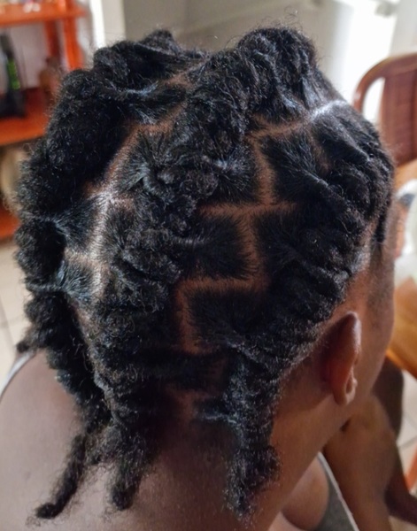 salon de coiffure afro tresse tresses box braids crochet braids vanilles tissages paris 75 77 78 91 92 93 94 95 FGPRNOXP