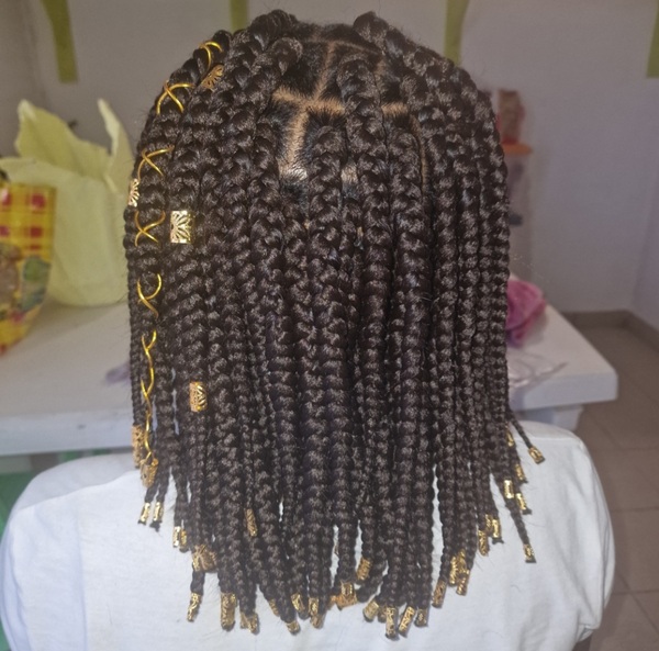salon de coiffure afro tresse tresses box braids crochet braids vanilles tissages paris 75 77 78 91 92 93 94 95 QZYRDETZ