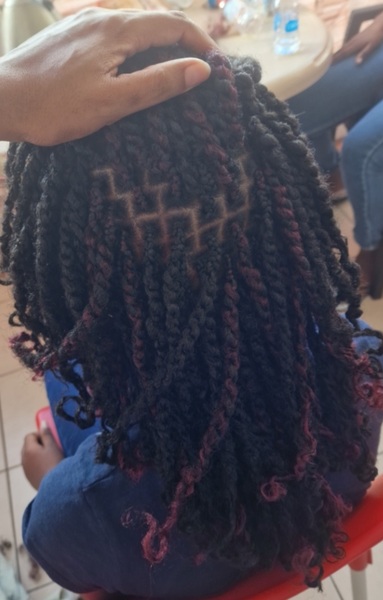 salon de coiffure afro tresse tresses box braids crochet braids vanilles tissages paris 75 77 78 91 92 93 94 95 GUJGBEZI