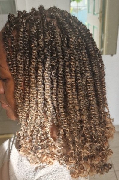 salon de coiffure afro tresse tresses box braids crochet braids vanilles tissages paris 75 77 78 91 92 93 94 95 SUTNESYG