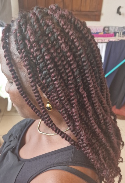 salon de coiffure afro tresse tresses box braids crochet braids vanilles tissages paris 75 77 78 91 92 93 94 95 AOEMZZNC