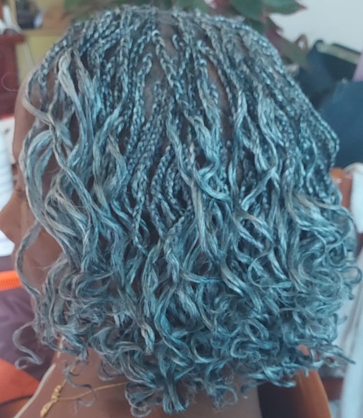 salon de coiffure afro tresse tresses box braids crochet braids vanilles tissages paris 75 77 78 91 92 93 94 95 ZJIXKTAV