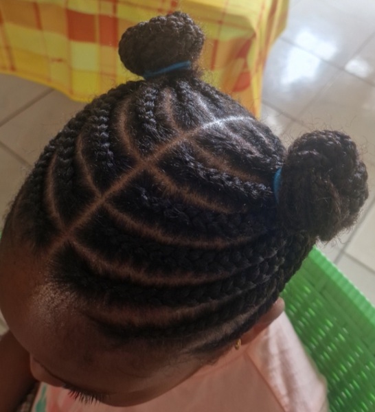 salon de coiffure afro tresse tresses box braids crochet braids vanilles tissages paris 75 77 78 91 92 93 94 95 GQCUXIVB