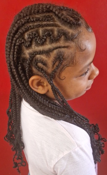 salon de coiffure afro tresse tresses box braids crochet braids vanilles tissages paris 75 77 78 91 92 93 94 95 FFAHCPMF