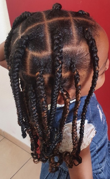 salon de coiffure afro tresse tresses box braids crochet braids vanilles tissages paris 75 77 78 91 92 93 94 95 TAESIFRS