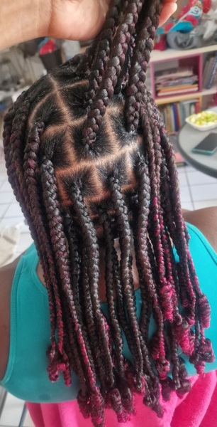 salon de coiffure afro tresse tresses box braids crochet braids vanilles tissages paris 75 77 78 91 92 93 94 95 TIZLVWLY