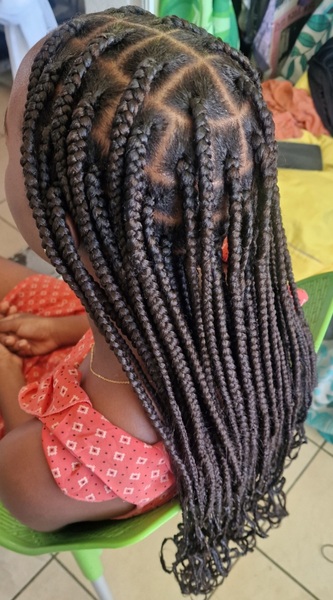 salon de coiffure afro tresse tresses box braids crochet braids vanilles tissages paris 75 77 78 91 92 93 94 95 VUOUWRXB