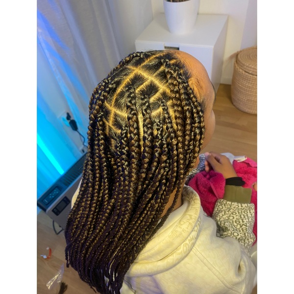 salon de coiffure afro tresse tresses box braids crochet braids vanilles tissages paris 75 77 78 91 92 93 94 95 PLWDYOLL