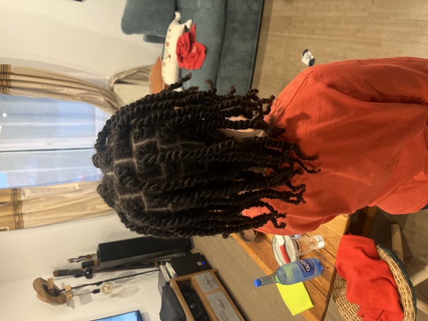 salon de coiffure afro tresse tresses box braids crochet braids vanilles tissages paris 75 77 78 91 92 93 94 95 QXNZSASB