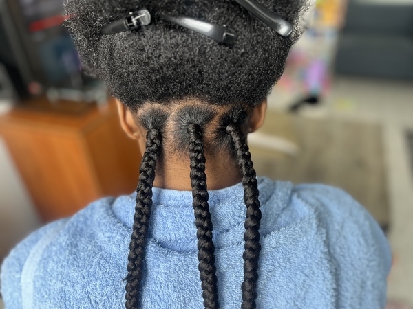 salon de coiffure afro tresse tresses box braids crochet braids vanilles tissages paris 75 77 78 91 92 93 94 95 DMYJBBJI