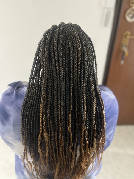 salon de coiffure afro tresse tresses box braids crochet braids vanilles tissages paris 75 77 78 91 92 93 94 95 FDXBTCZU