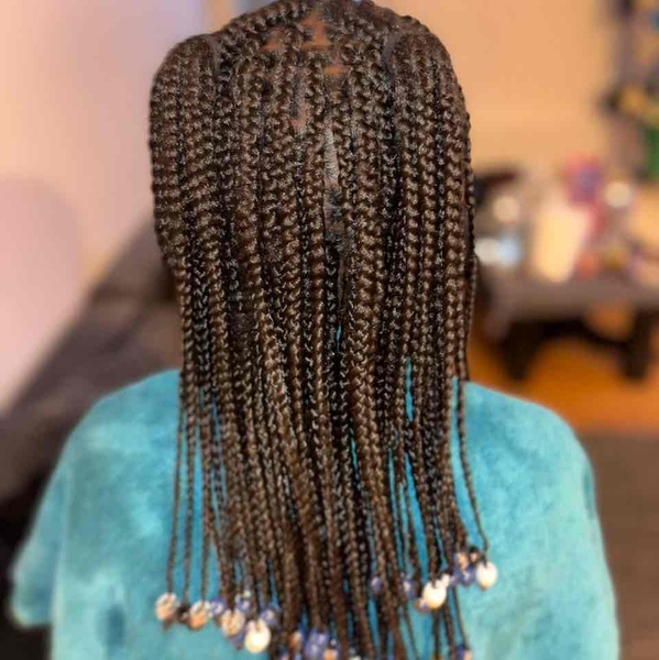 salon de coiffure afro tresse tresses box braids crochet braids vanilles tissages paris 75 77 78 91 92 93 94 95 ZYMEJCCP