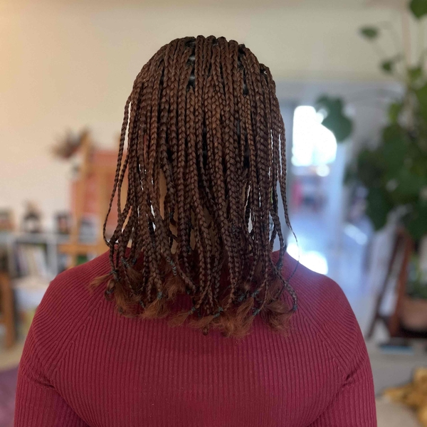 salon de coiffure afro tresse tresses box braids crochet braids vanilles tissages paris 75 77 78 91 92 93 94 95 MWEFPWHS