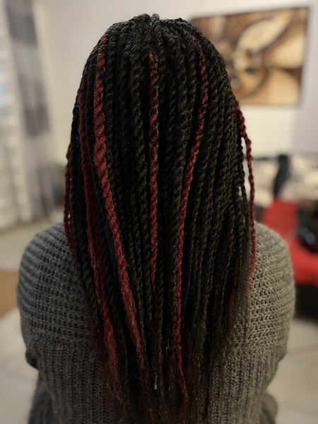 salon de coiffure afro tresse tresses box braids crochet braids vanilles tissages paris 75 77 78 91 92 93 94 95 GNJDNIYL