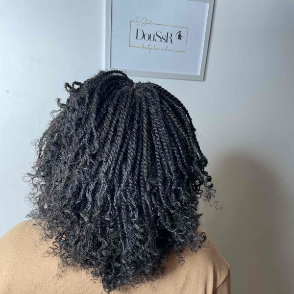 salon de coiffure afro tresse tresses box braids crochet braids vanilles tissages paris 75 77 78 91 92 93 94 95 OKHATVJT