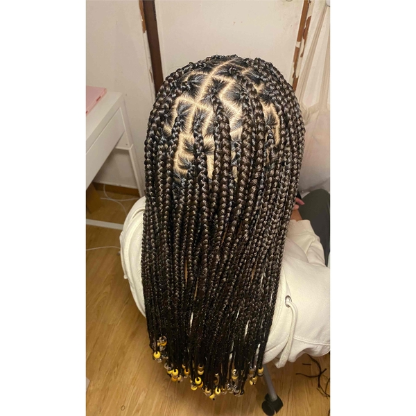 salon de coiffure afro tresse tresses box braids crochet braids vanilles tissages paris 75 77 78 91 92 93 94 95 ROWWMNOJ