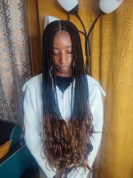 salon de coiffure afro tresse tresses box braids crochet braids vanilles tissages paris 75 77 78 91 92 93 94 95 BGUFSOUF