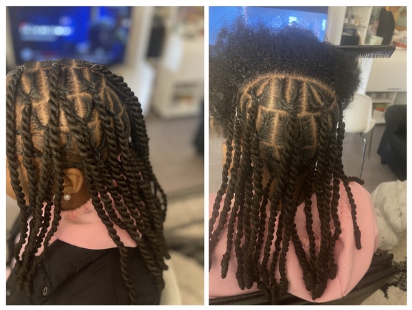 salon de coiffure afro tresse tresses box braids crochet braids vanilles tissages paris 75 77 78 91 92 93 94 95 DHMIUVXT