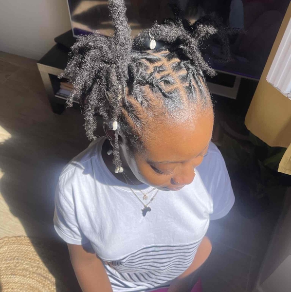 salon de coiffure afro tresse tresses box braids crochet braids vanilles tissages paris 75 77 78 91 92 93 94 95 AHLPYHIB