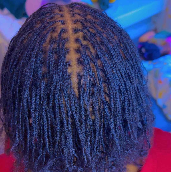 salon de coiffure afro tresse tresses box braids crochet braids vanilles tissages paris 75 77 78 91 92 93 94 95 UHXECPSI