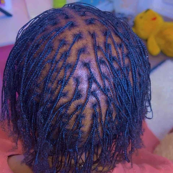 salon de coiffure afro tresse tresses box braids crochet braids vanilles tissages paris 75 77 78 91 92 93 94 95 BNHKNRCT