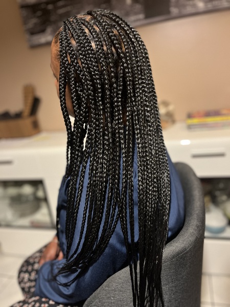 salon de coiffure afro tresse tresses box braids crochet braids vanilles tissages paris 75 77 78 91 92 93 94 95 XQDQGWOD