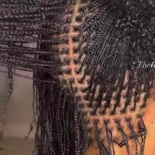 salon de coiffure afro tresse tresses box braids crochet braids vanilles tissages paris 75 77 78 91 92 93 94 95 IGGHJFPA