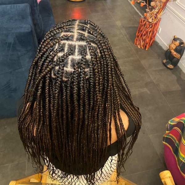 salon de coiffure afro tresse tresses box braids crochet braids vanilles tissages paris 75 77 78 91 92 93 94 95 MOWDCVFK
