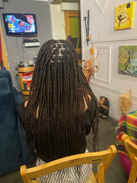 salon de coiffure afro tresse tresses box braids crochet braids vanilles tissages paris 75 77 78 91 92 93 94 95 LFSFFMYH