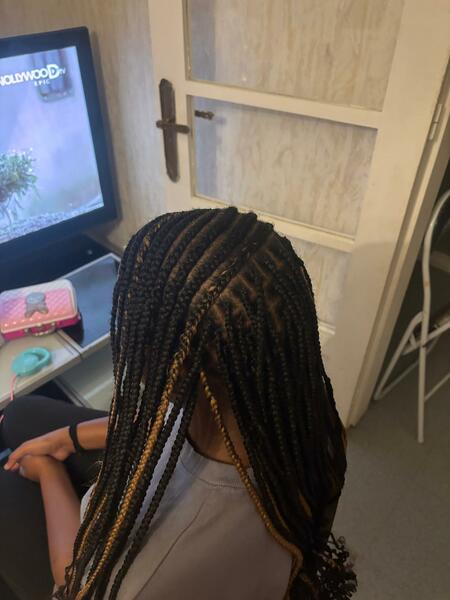 salon de coiffure afro tresse tresses box braids crochet braids vanilles tissages paris 75 77 78 91 92 93 94 95 HNYLERLF