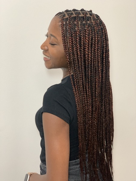 salon de coiffure afro tresse tresses box braids crochet braids vanilles tissages paris 75 77 78 91 92 93 94 95 RLDRBTTX