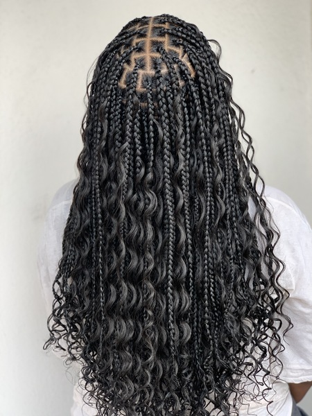 salon de coiffure afro tresse tresses box braids crochet braids vanilles tissages paris 75 77 78 91 92 93 94 95 EUZNCNTK