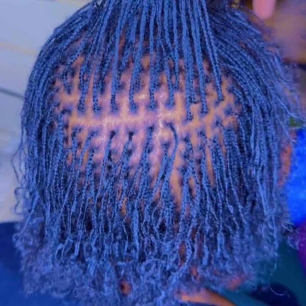 salon de coiffure afro tresse tresses box braids crochet braids vanilles tissages paris 75 77 78 91 92 93 94 95 WTLDIAHY
