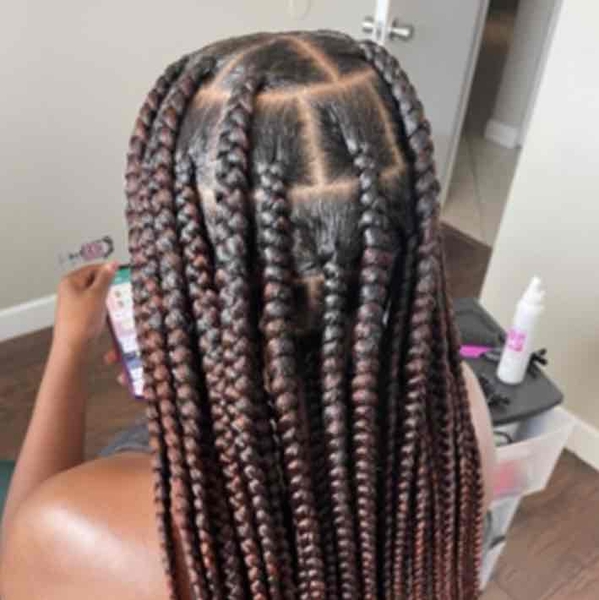 salon de coiffure afro tresse tresses box braids crochet braids vanilles tissages paris 75 77 78 91 92 93 94 95 TLSDBTUQ