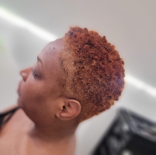 salon de coiffure afro tresse tresses box braids crochet braids vanilles tissages paris 75 77 78 91 92 93 94 95 AVVRJPTR