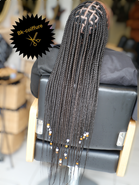 salon de coiffure afro tresse tresses box braids crochet braids vanilles tissages paris 75 77 78 91 92 93 94 95 WRSYNVDY